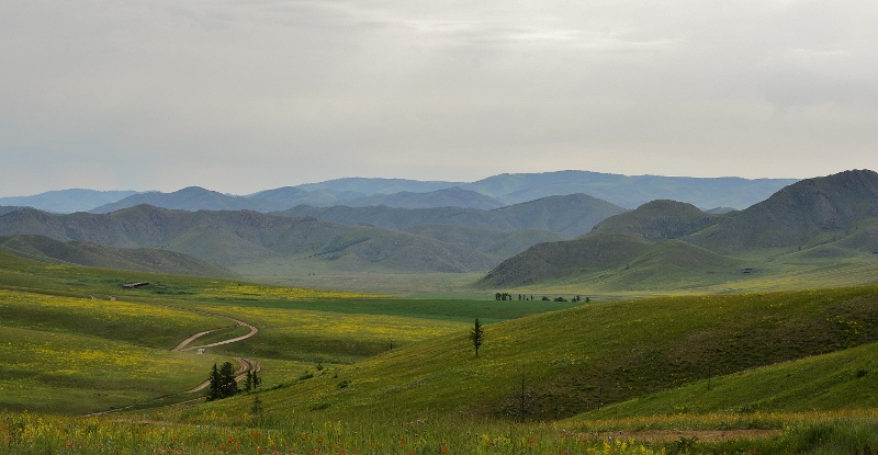 Auf dem Weg zum Kloster Amarbajasgalant - wieviele Farben gr&uuml;n gibt es ?