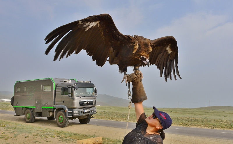 Geier-Pr&auml;sentation