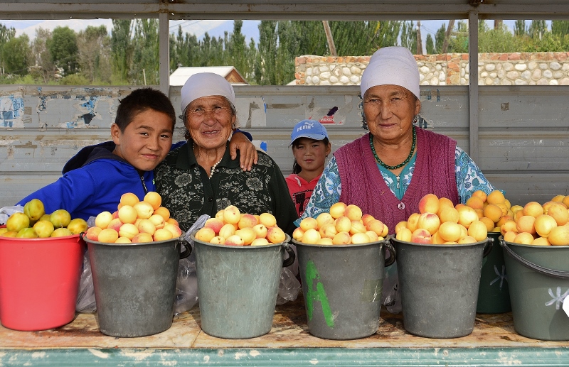 Die Aprikosen sind reif!