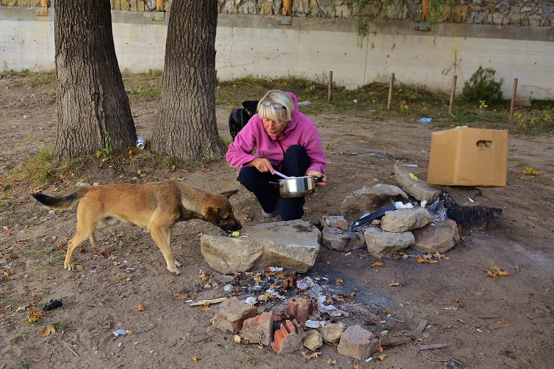 "Unser" Hund freut sich &uuml;ber die Reste