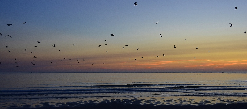 Die Sonnenunterg&auml;nge sind hier einfach traumhaft