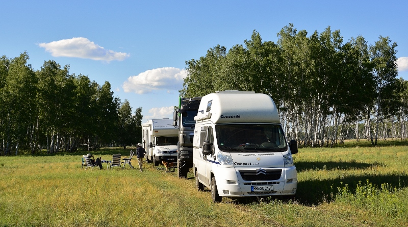 &Uuml;bernachtungsplatz zwischen Birken und wilden Blumen