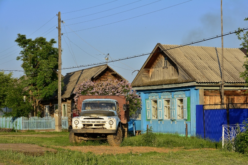 Prachtvoller Flieder!