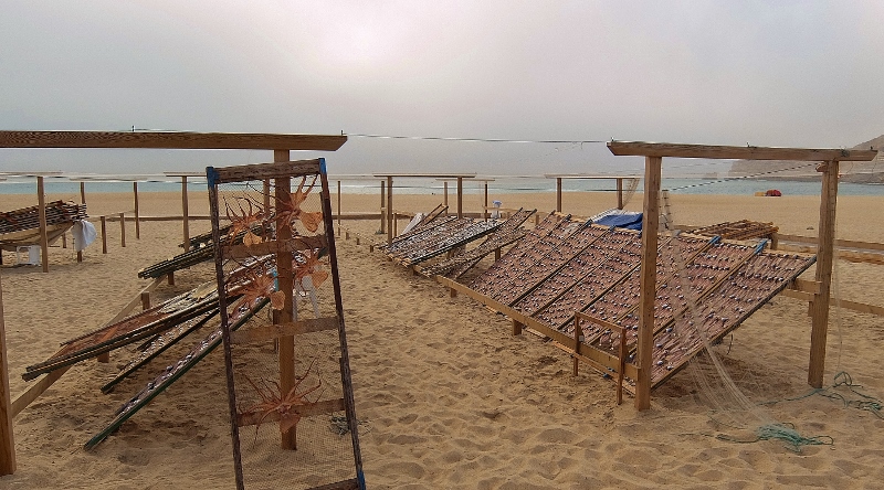 M&uuml;hsam werden die kleinen Fische ausgenommen und getrocknet