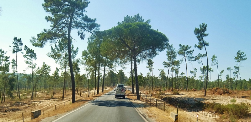 Fahrt durch die D&uuml;nenlandschaft