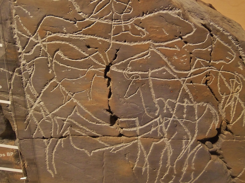 Suchbild (Nachbildung)